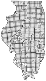 1731947052338.png